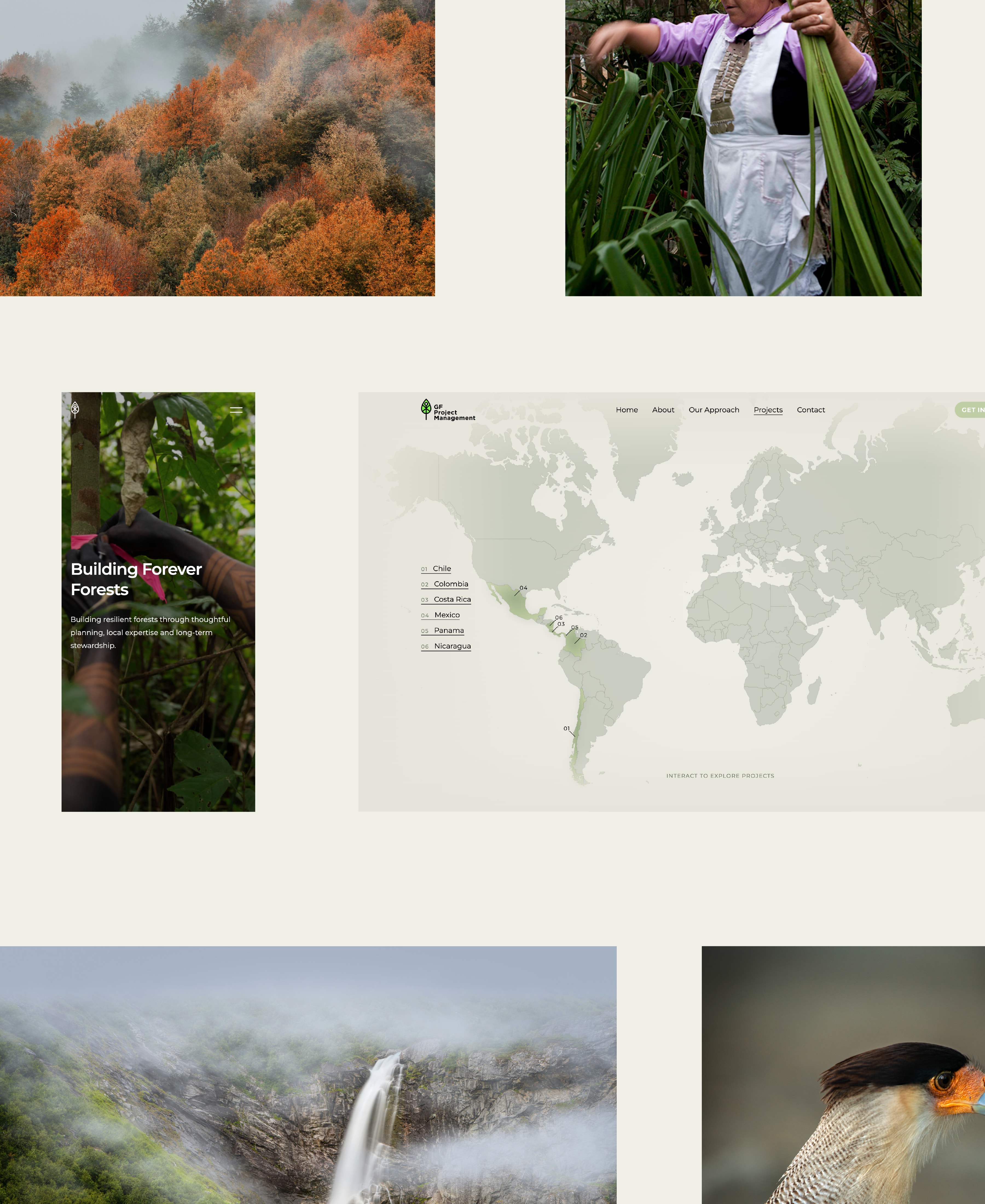 Building Forever Forests overview